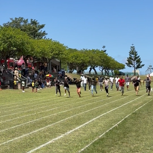 MountView inter House (13)