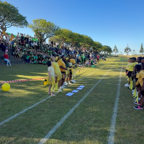 MountView inter House (6)