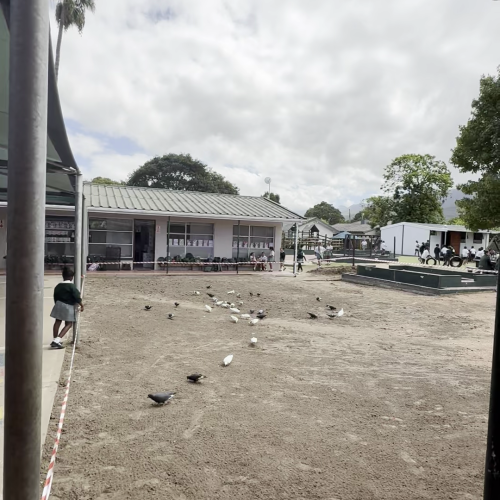 Mountview Facility Upgrades (2)