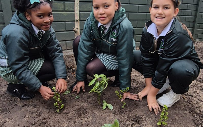 Mountview Outdoor Garden Club (5)