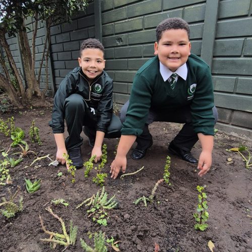 Mountview Outdoor Garden Club (7)